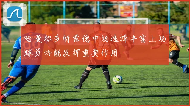 哈曼称多特蒙德中场选择丰富上场球员均能发挥重要作用