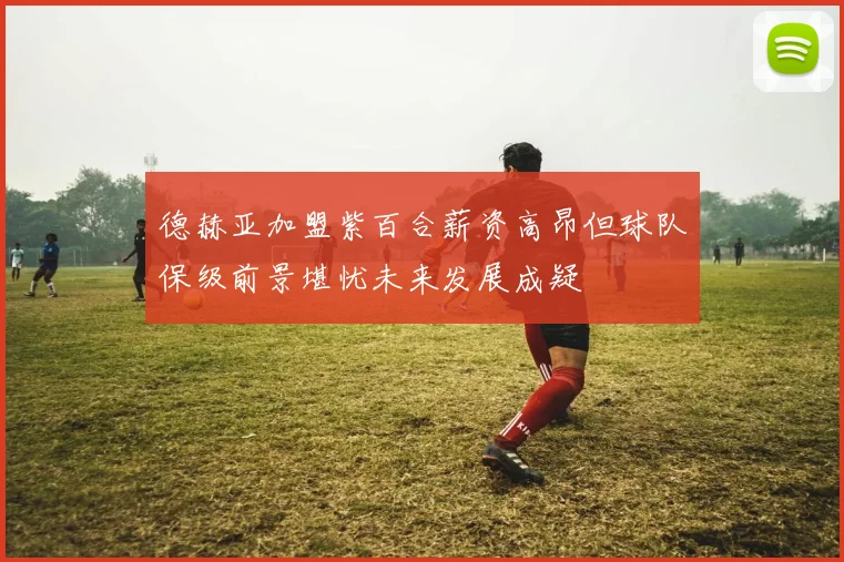 德赫亚加盟紫百合薪资高昂但球队保级前景堪忧未来发展成疑