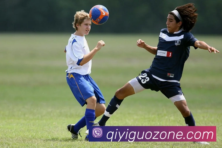 奇异果体育APP 封面图